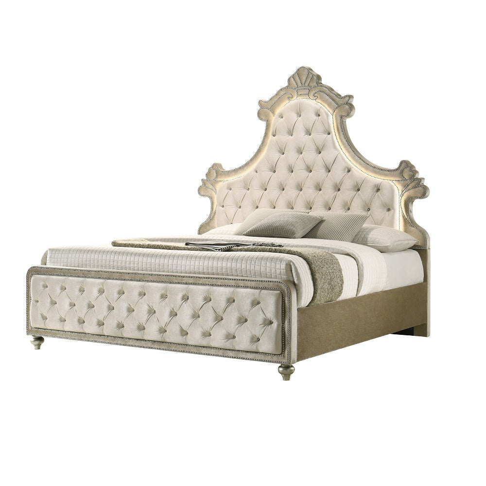 Lucienne Queen Beige Velvet Platform Bed – Modern Glamorous LED Lighting & Button Tufting
