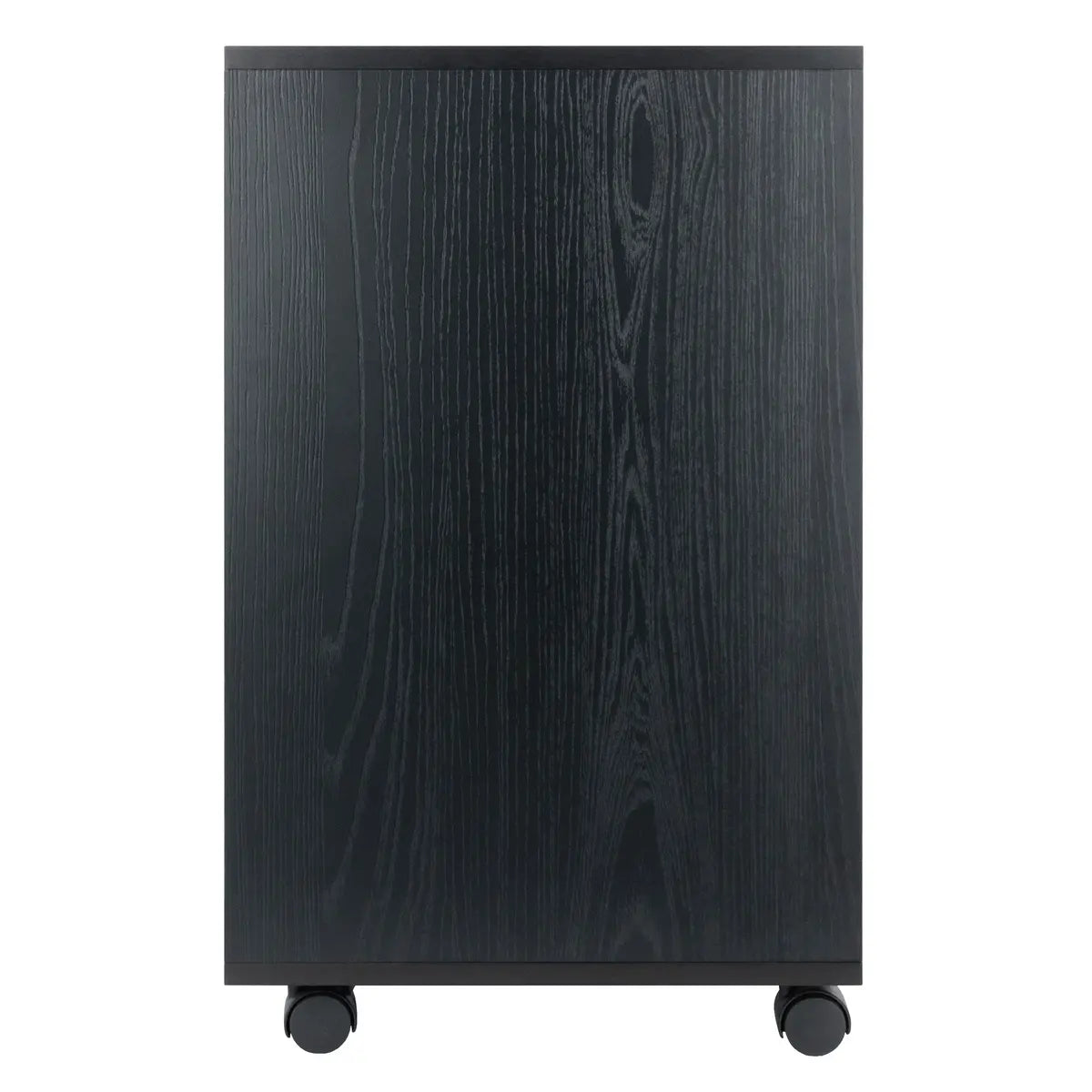Norfolk 6 Bins, 2 Drawer Mobile Cabinet, Black Finish