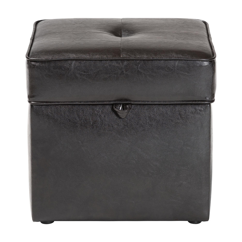 Sydney Brown Modern Storage Ottoman