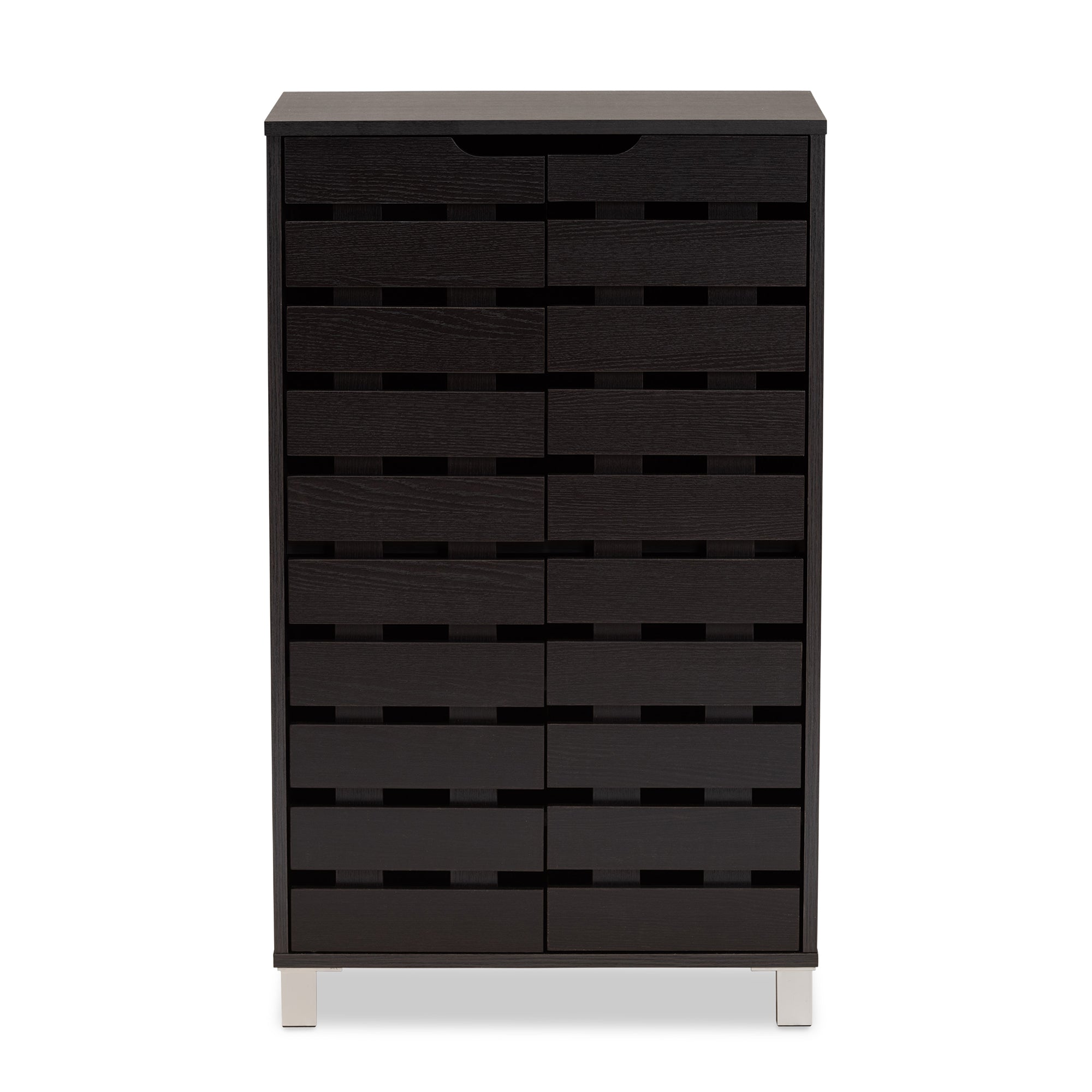 Ernest Modern and Contemporary Dark Brown Finished Wood 2-Door Shoe Storage Cabinet
