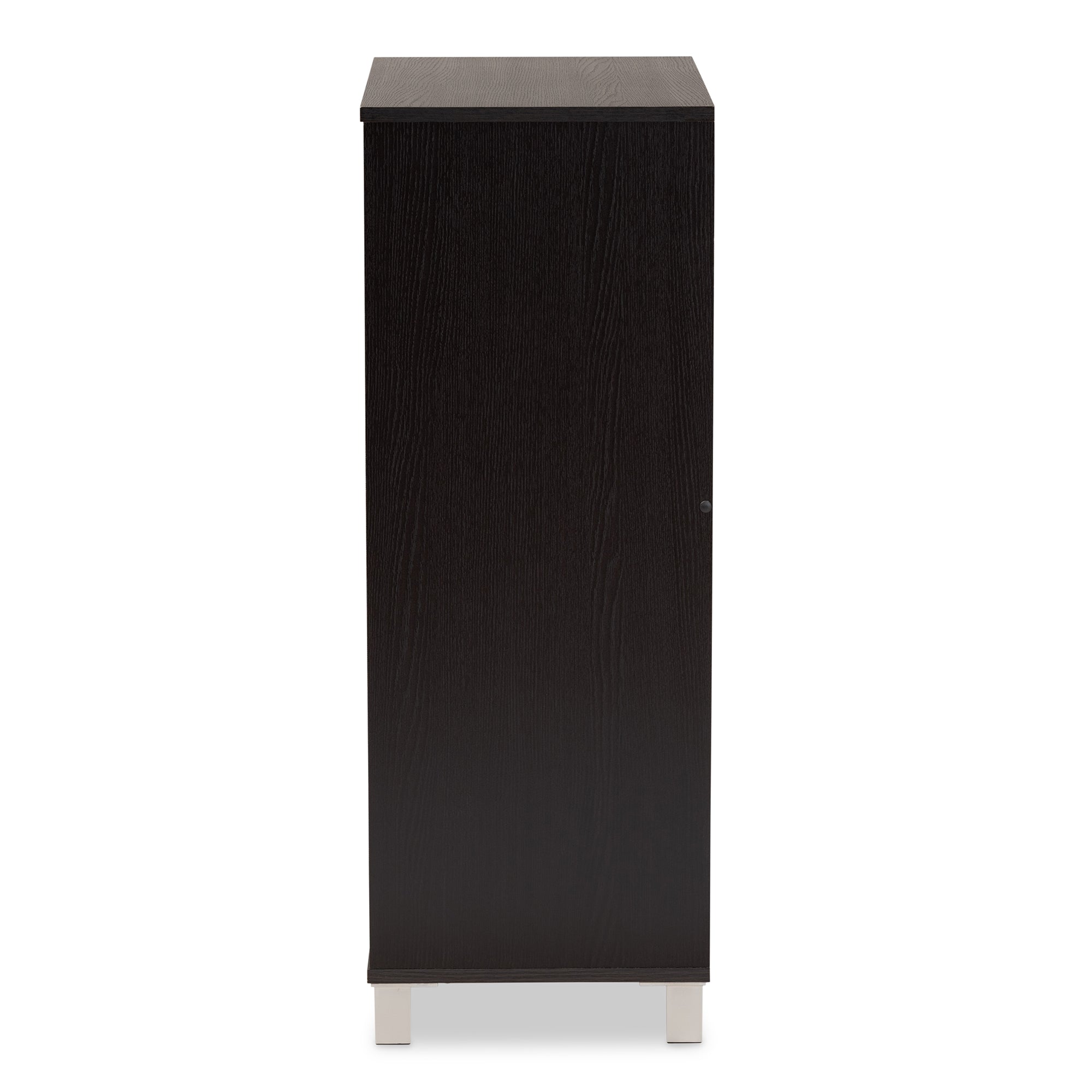 Ernest Modern and Contemporary Dark Brown Finished Wood 2-Door Shoe Storage Cabinet