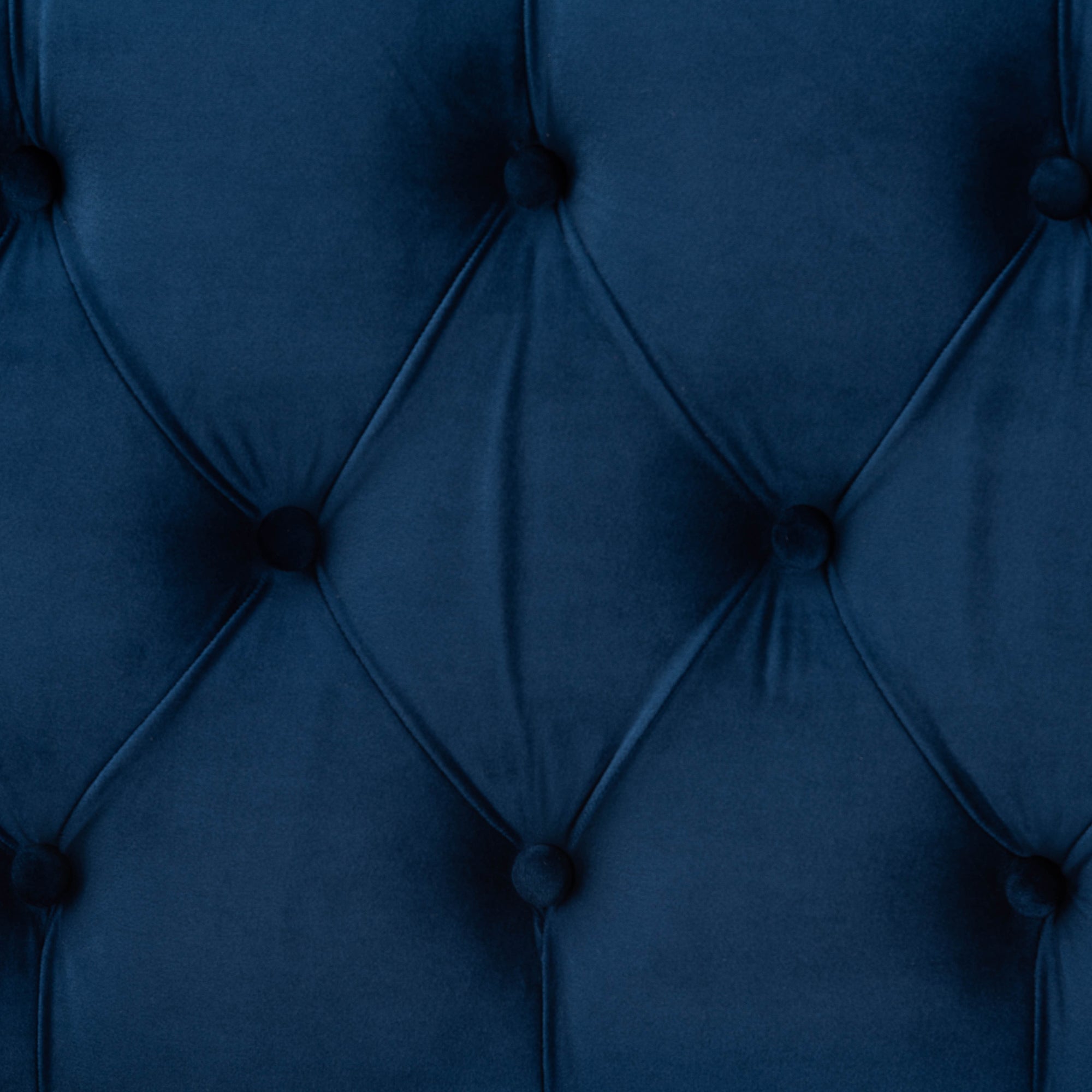 Powell Navy Blue Velvet Fabric Upholstered and Gold PU Leather Storage Ottoman