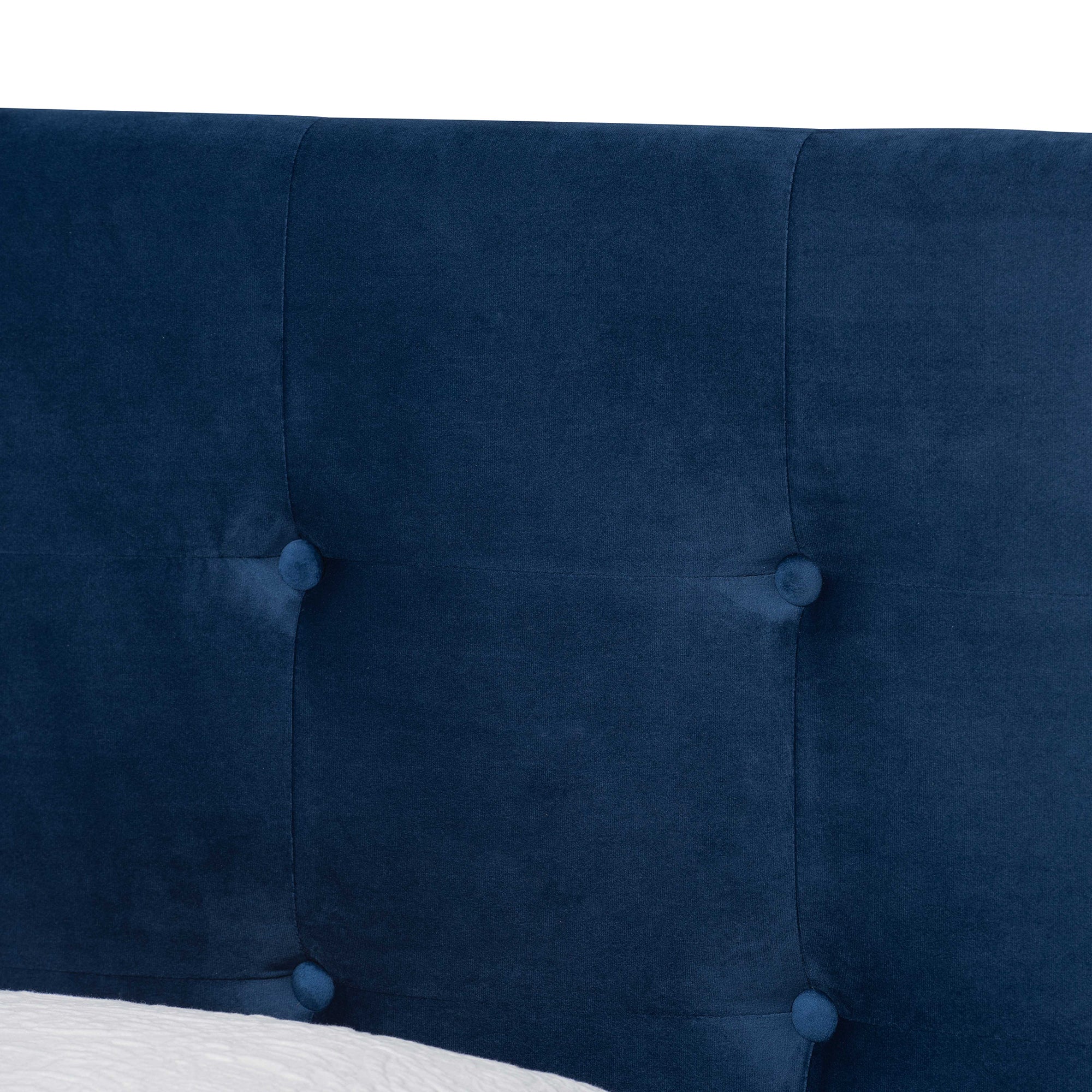 Caprice Navy Blue Velvet Fabric Upholstered Twin Size Panel Bed