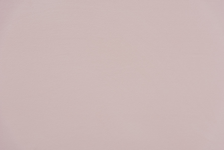 Timila Modern and Contemporary Light Pink Velvet Fabric Upholstered Twin Size Daybed with Trundle