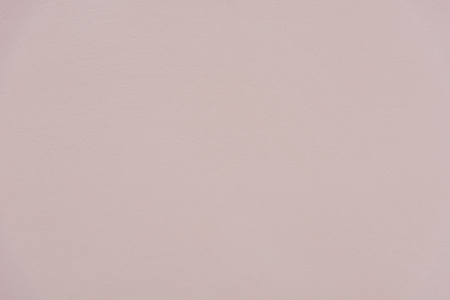 Timila Modern and Contemporary Light Pink Velvet Fabric Upholstered Queen Size Daybed