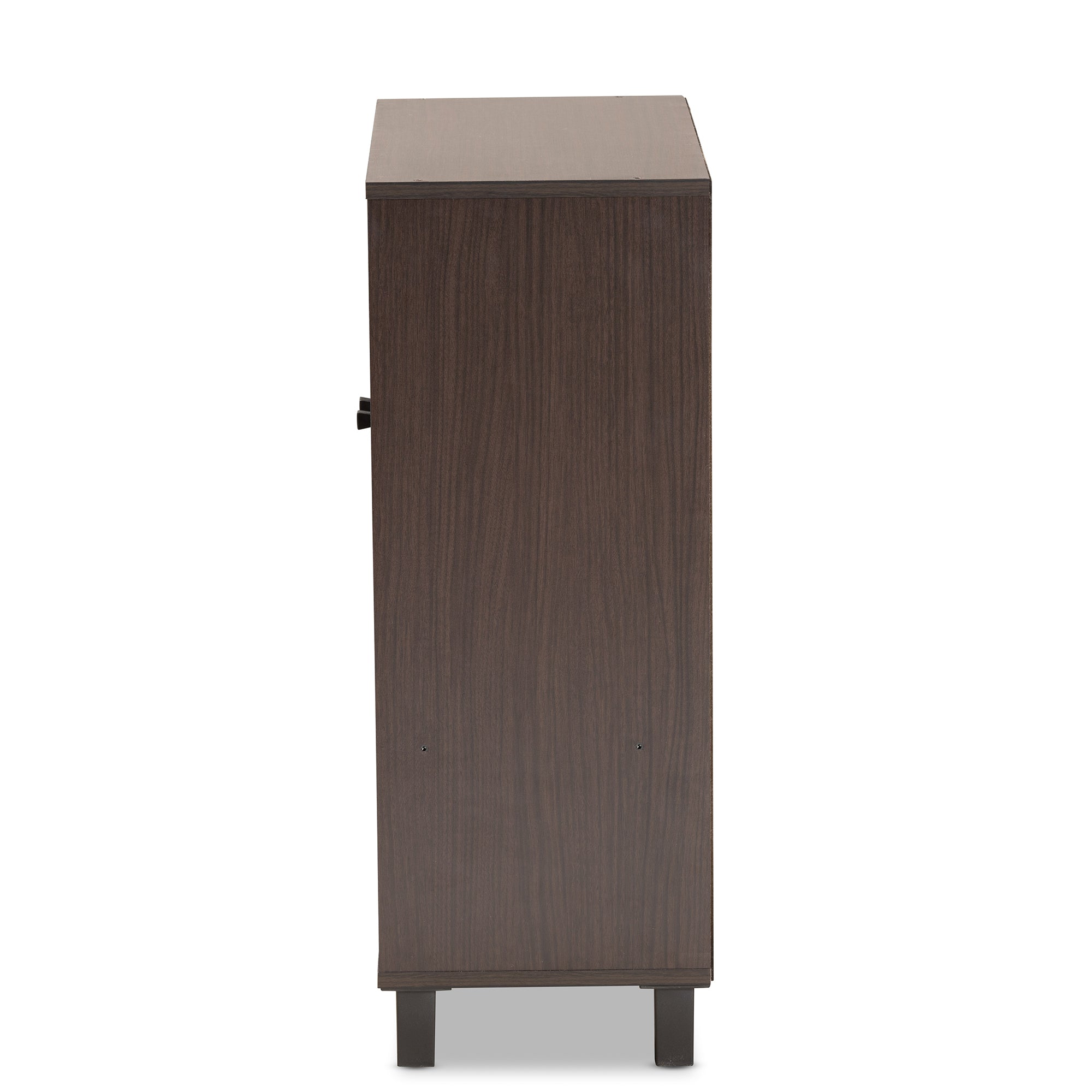 Rossin Modern and Contemporary Dark Brown Finished Wood 2-Door Entryway Shoe Storage Cabinet with Bottom Shelf