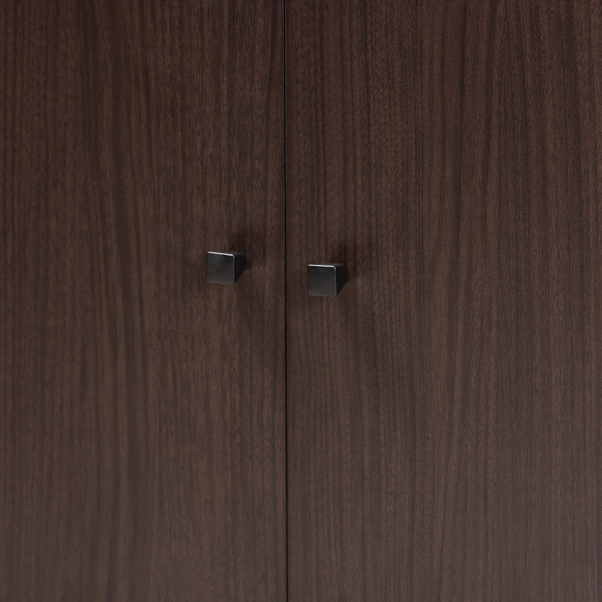 Rossin Modern and Contemporary Dark Brown Finished Wood 2-Door Entryway Shoe Storage Cabinet with Bottom Shelf