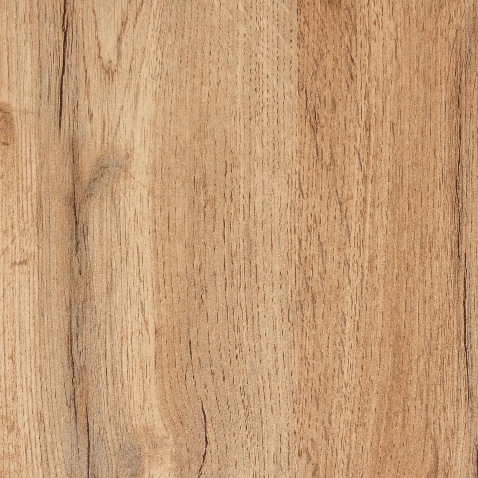 Coolidge Modern and Contemporary Oak Brown Finished Wood 3-Door Shoe Storage Cabinet with Drawer