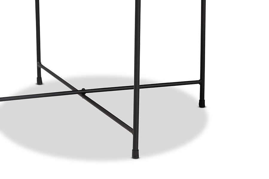 Ivana Modern and Contemporary Black Finished Metal Plant Stand