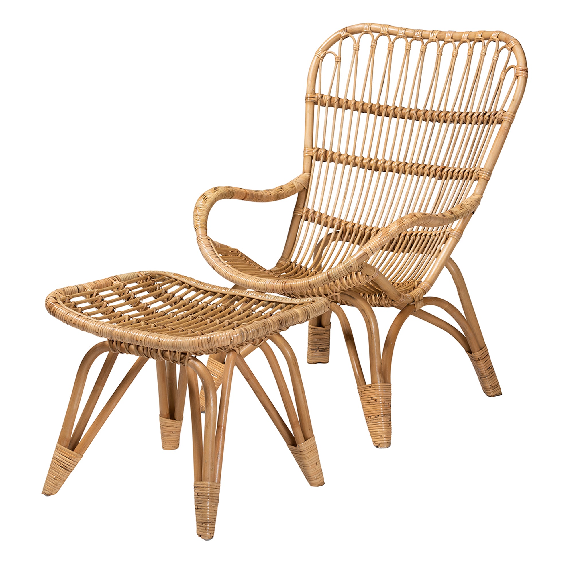 Earvin Modern Bohemian Natural Brown Rattan 2-Piece Armchair and Footstool Set
