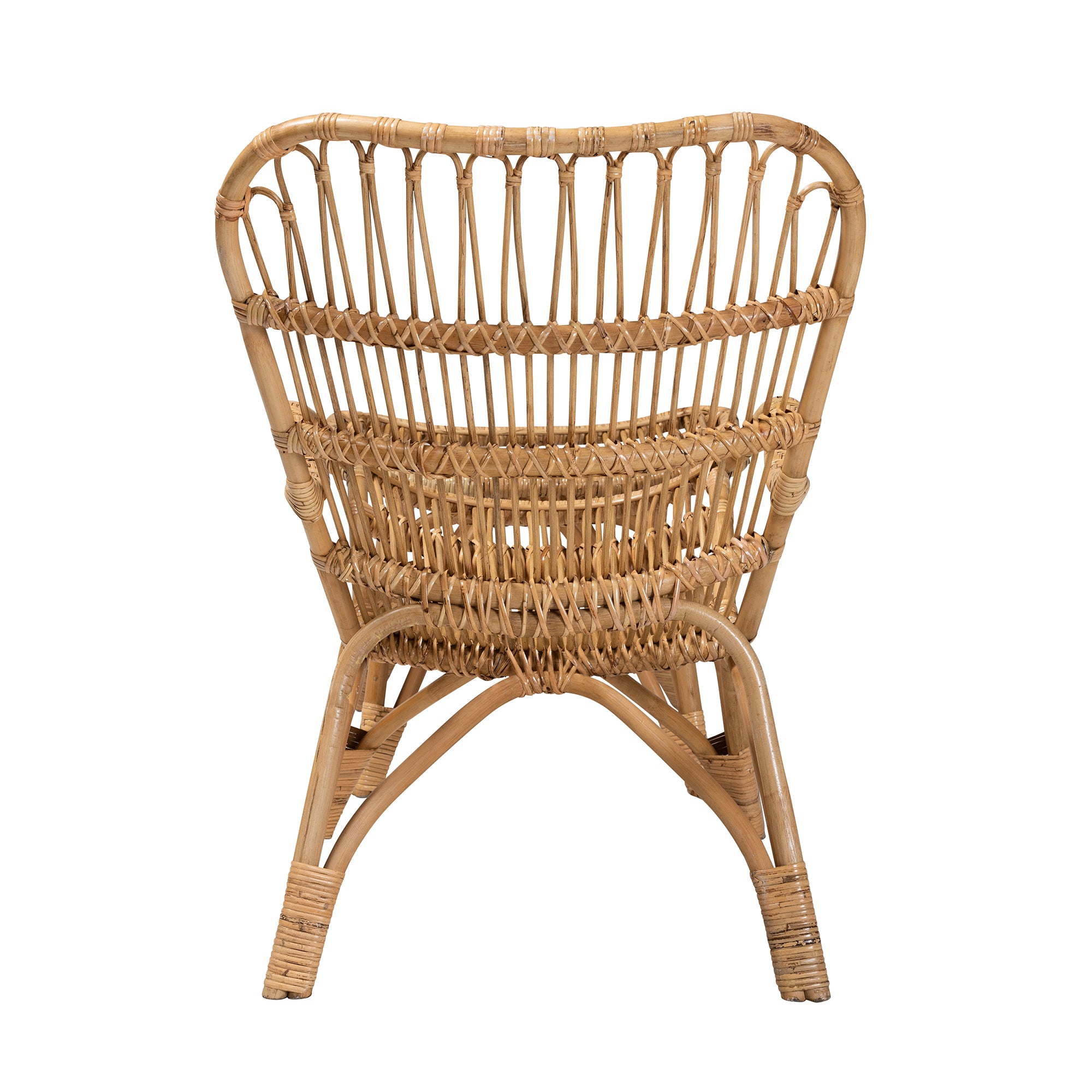 Earvin Modern Bohemian Natural Brown Rattan 2-Piece Armchair and Footstool Set