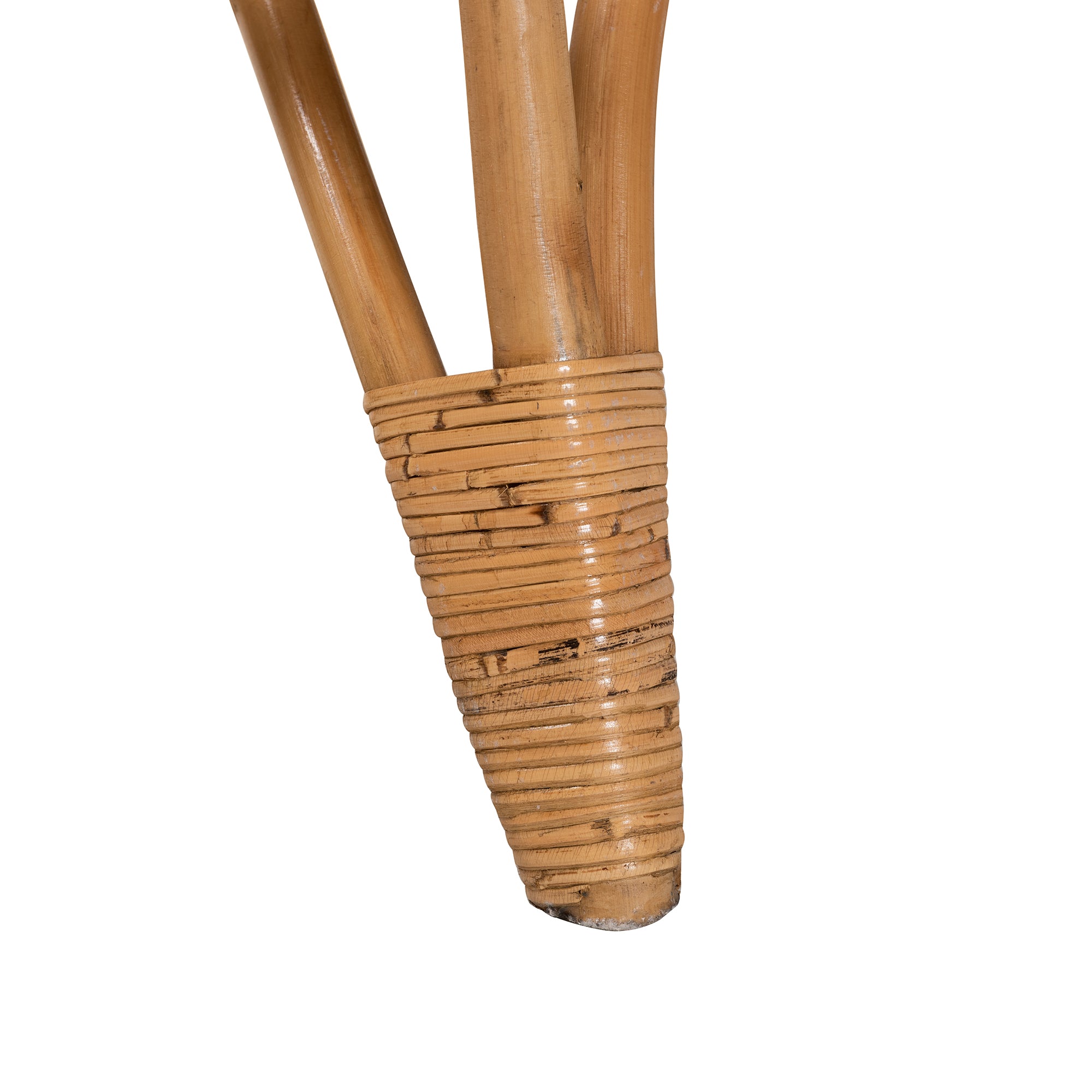 Earvin Modern Bohemian Natural Brown Rattan 2-Piece Armchair and Footstool Set