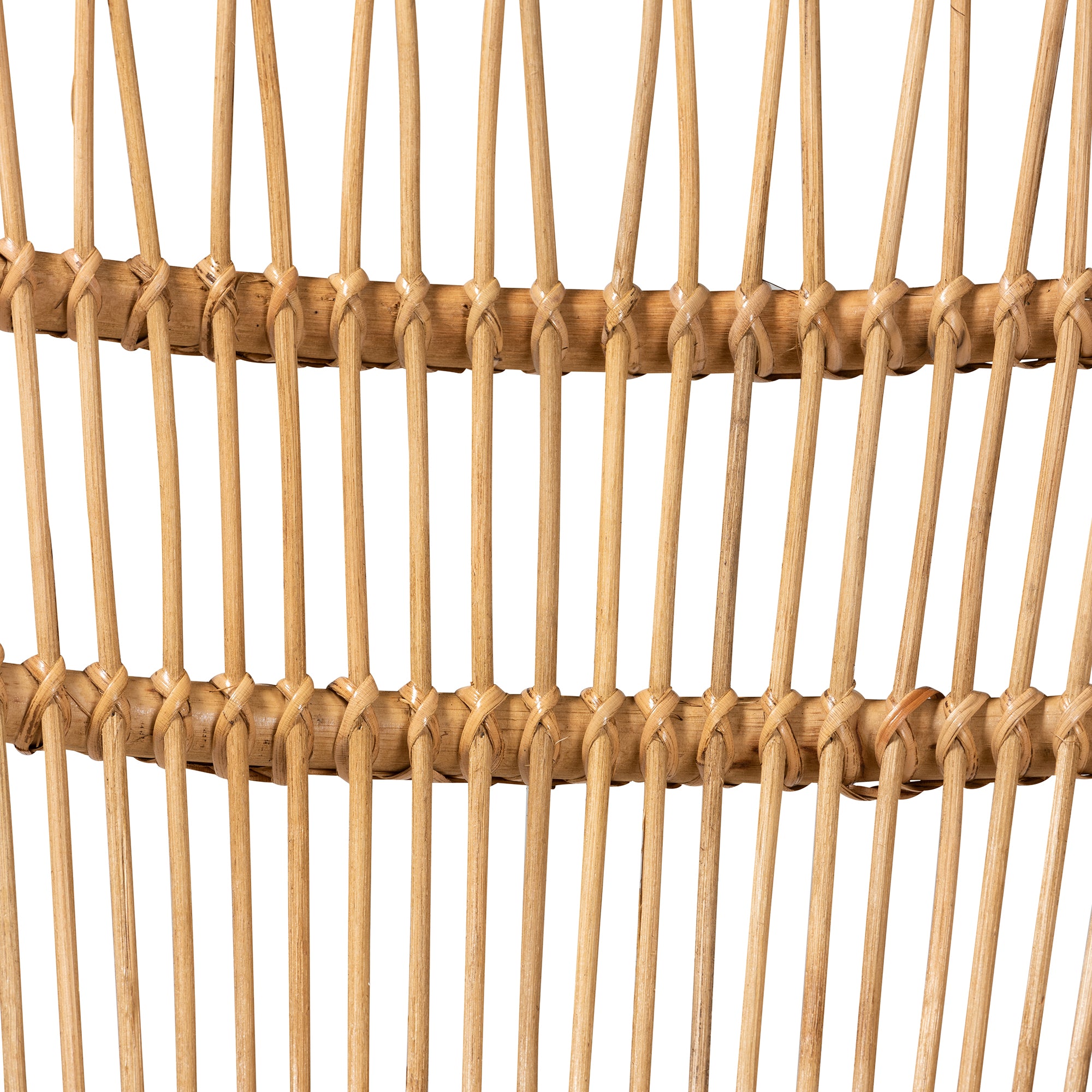 Earvin Modern Bohemian Natural Brown Rattan 2-Piece Armchair and Footstool Set