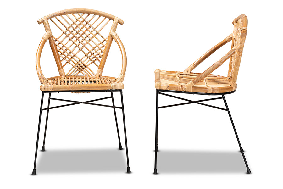 bali & pari Pro Modern Bohemian Natural Brown Rattan and Black Metal 2-Piece Dining Chair Set
