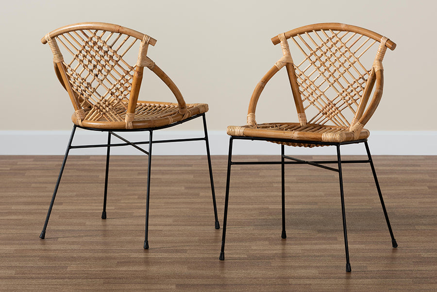 bali & pari Pro Modern Bohemian Natural Brown Rattan and Black Metal 2-Piece Dining Chair Set