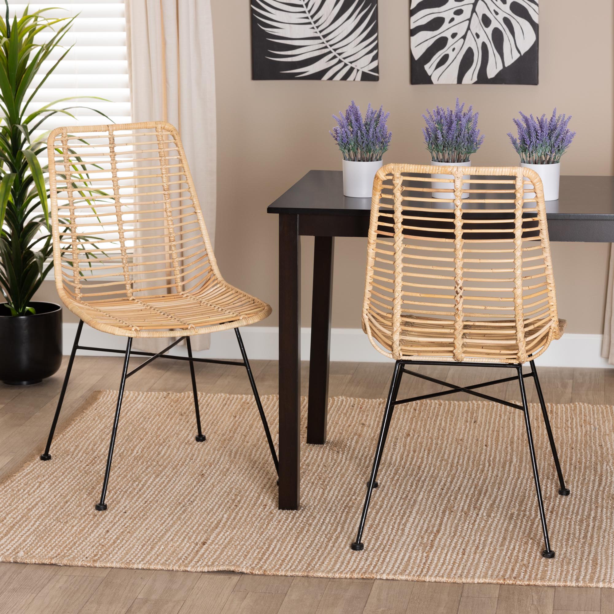 bali & pari Manhattan Modern Bohemian Natural Brown Rattan and Black Metal 2-Piece Dining Chair Set