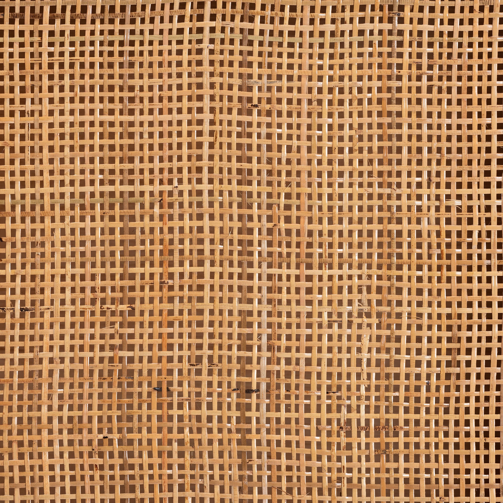 Adelia Modern Bohemian Natural Rattan and Mahogany Wood 1-Drawer Nightstand