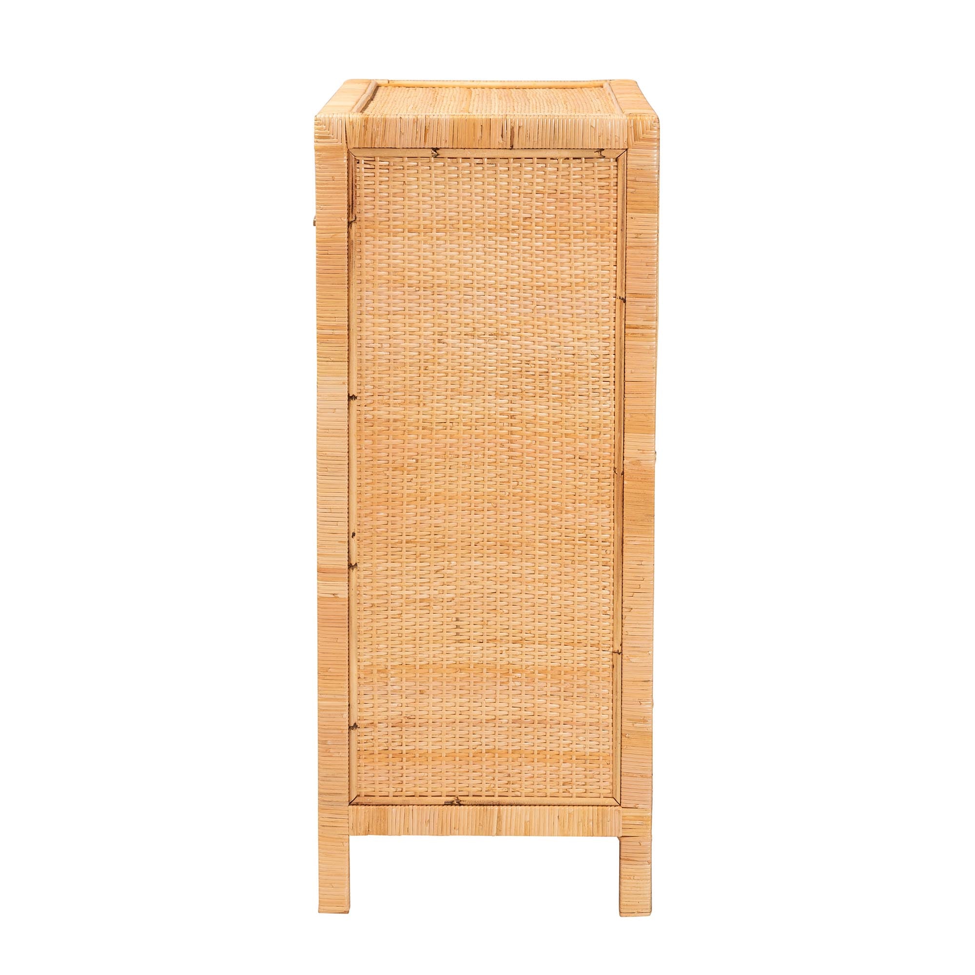 Vaere Modern Bohemian Natural Brown Rattan and Mahogany Wood Storage Cabinet