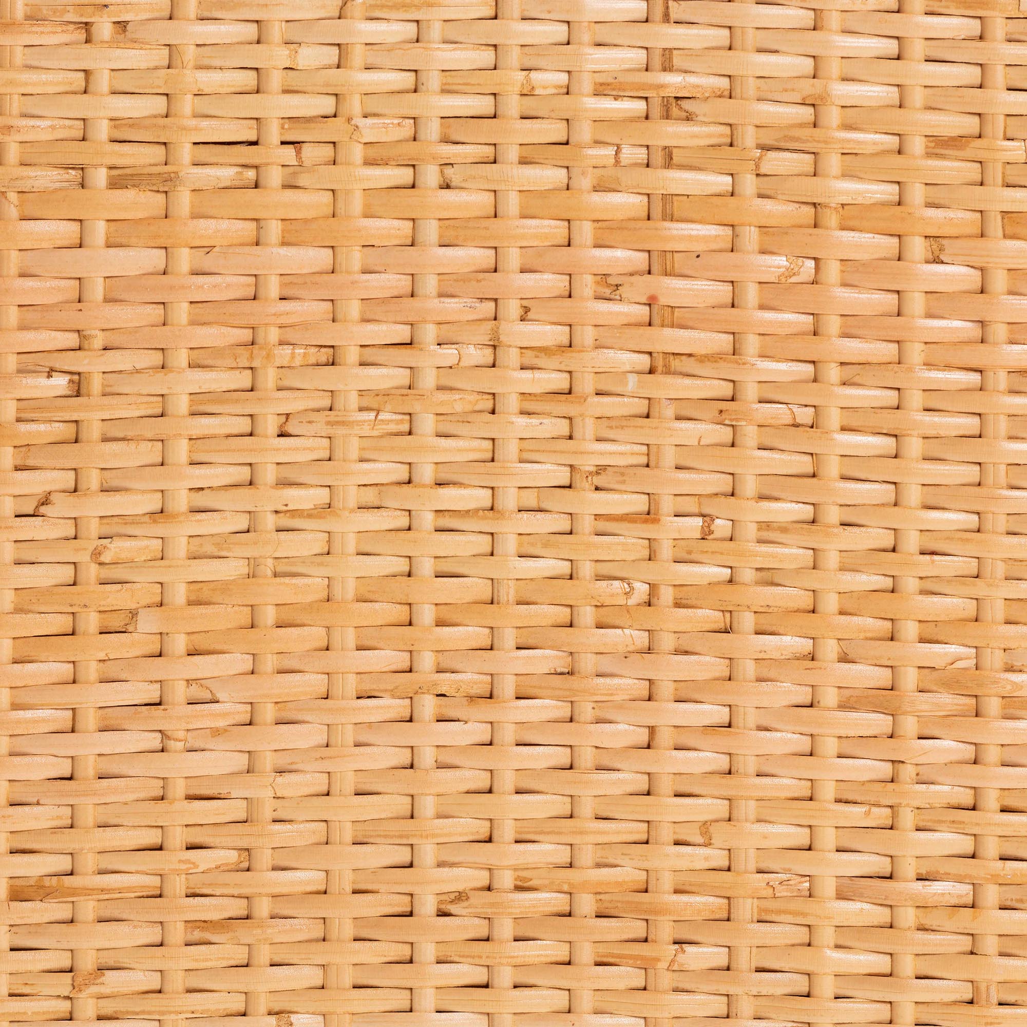 Vaere Modern Bohemian Natural Brown Rattan and Mahogany Wood Storage Cabinet