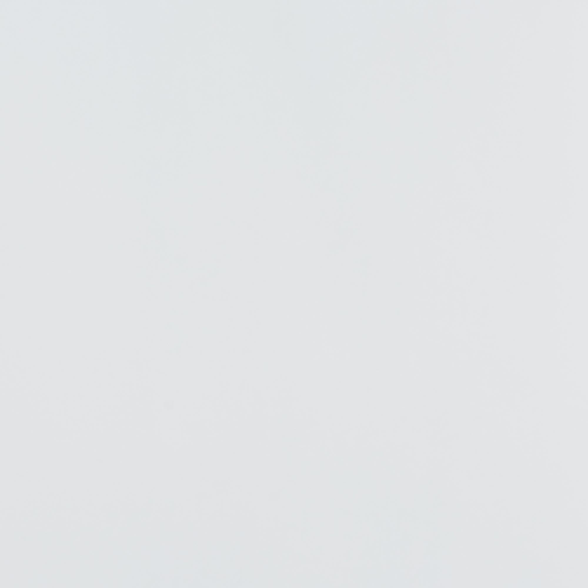 Yelena Classic and Traditional White Finished Wood 2-Door Storage Cabinet