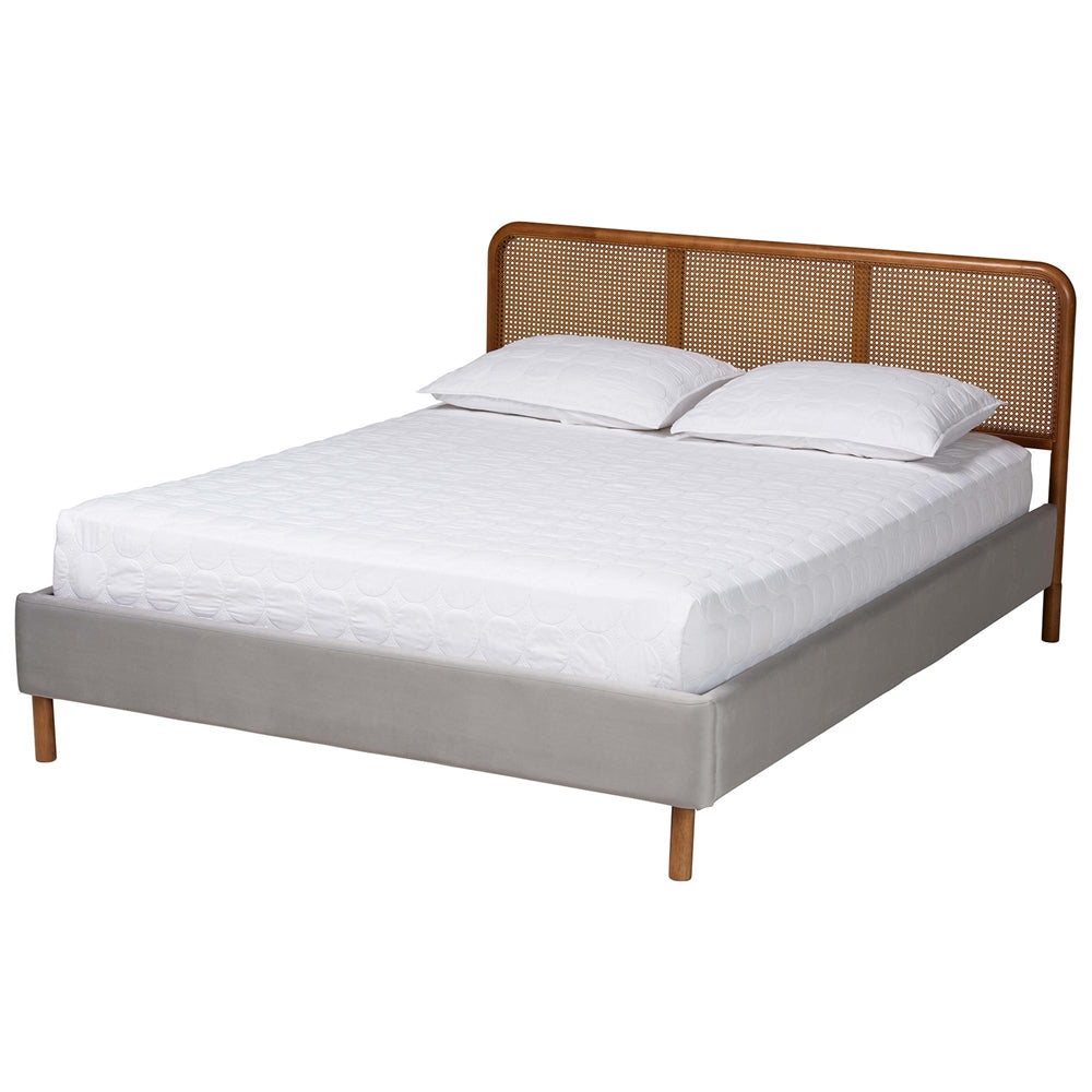 Rosita Mid-Century Modern Transitional Light Grey Velvet Fabric And Walnut Brown Finished Wood Queen Size Platform Bed