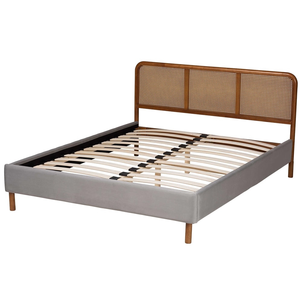 Rosita Mid-Century Modern Transitional Light Grey Velvet Fabric And Walnut Brown Finished Wood Queen Size Platform Bed