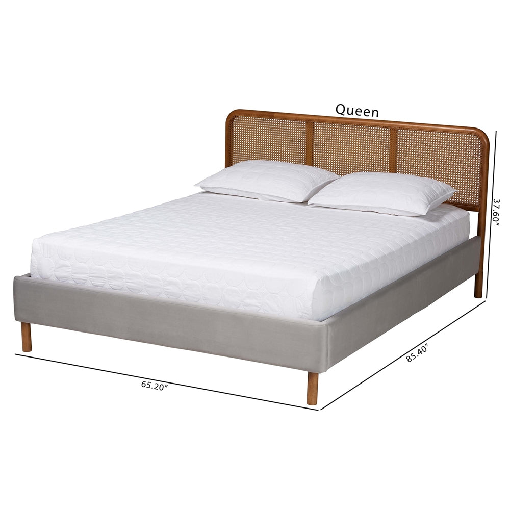 Rosita Mid-Century Modern Transitional Light Grey Velvet Fabric And Walnut Brown Finished Wood Queen Size Platform Bed