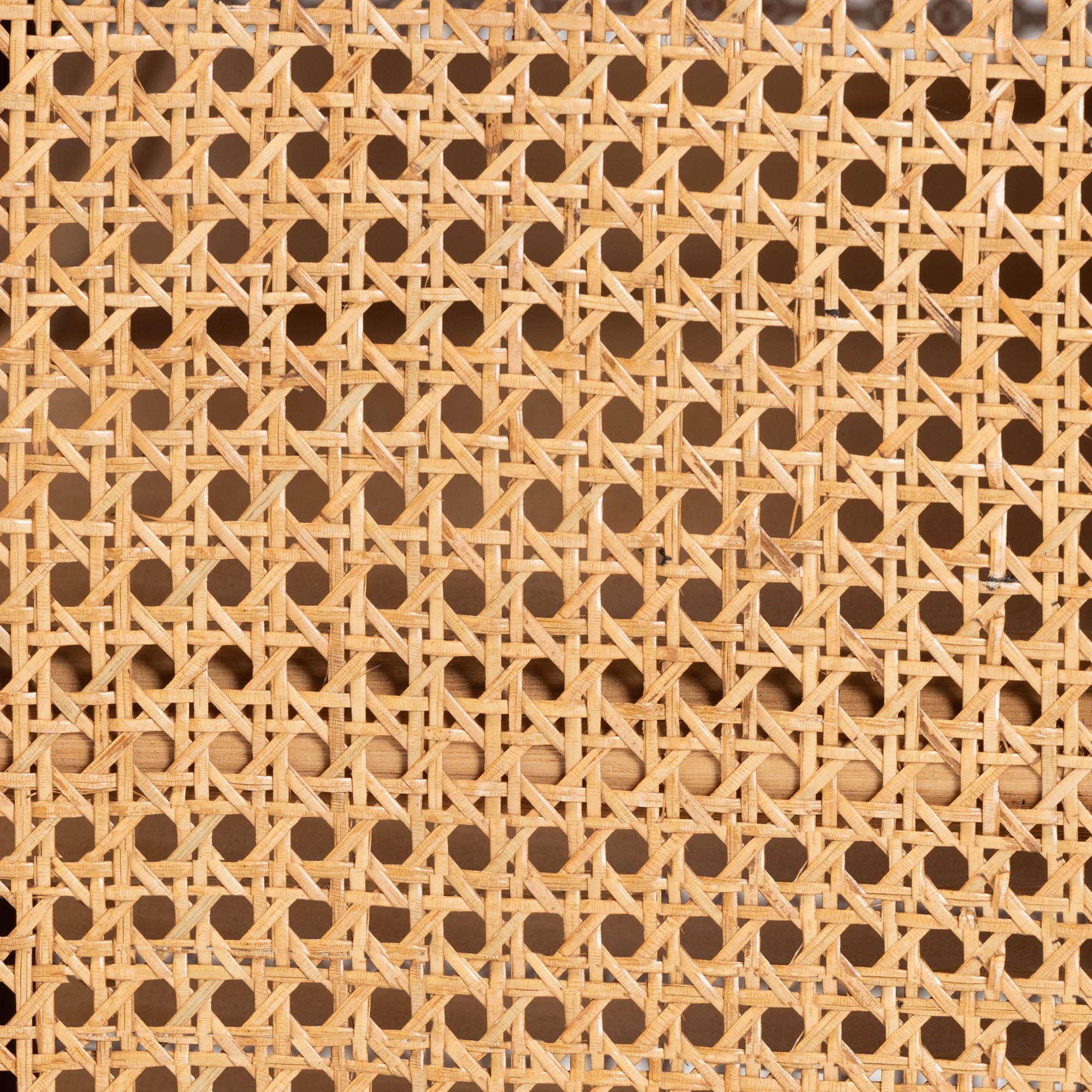 Curacao Modern Bohemian Light Honey Rattan 2-Door Storage Cabinet