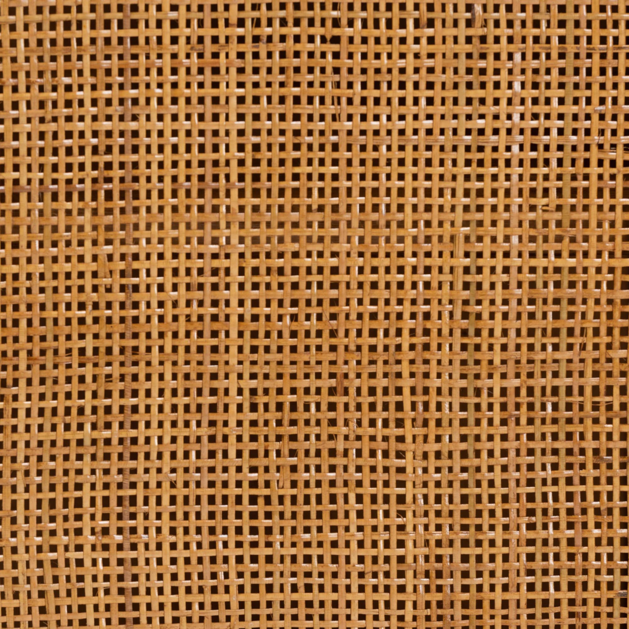 Paloma Modern Bohemian Light Honey Rattan Large Storage Cabinet