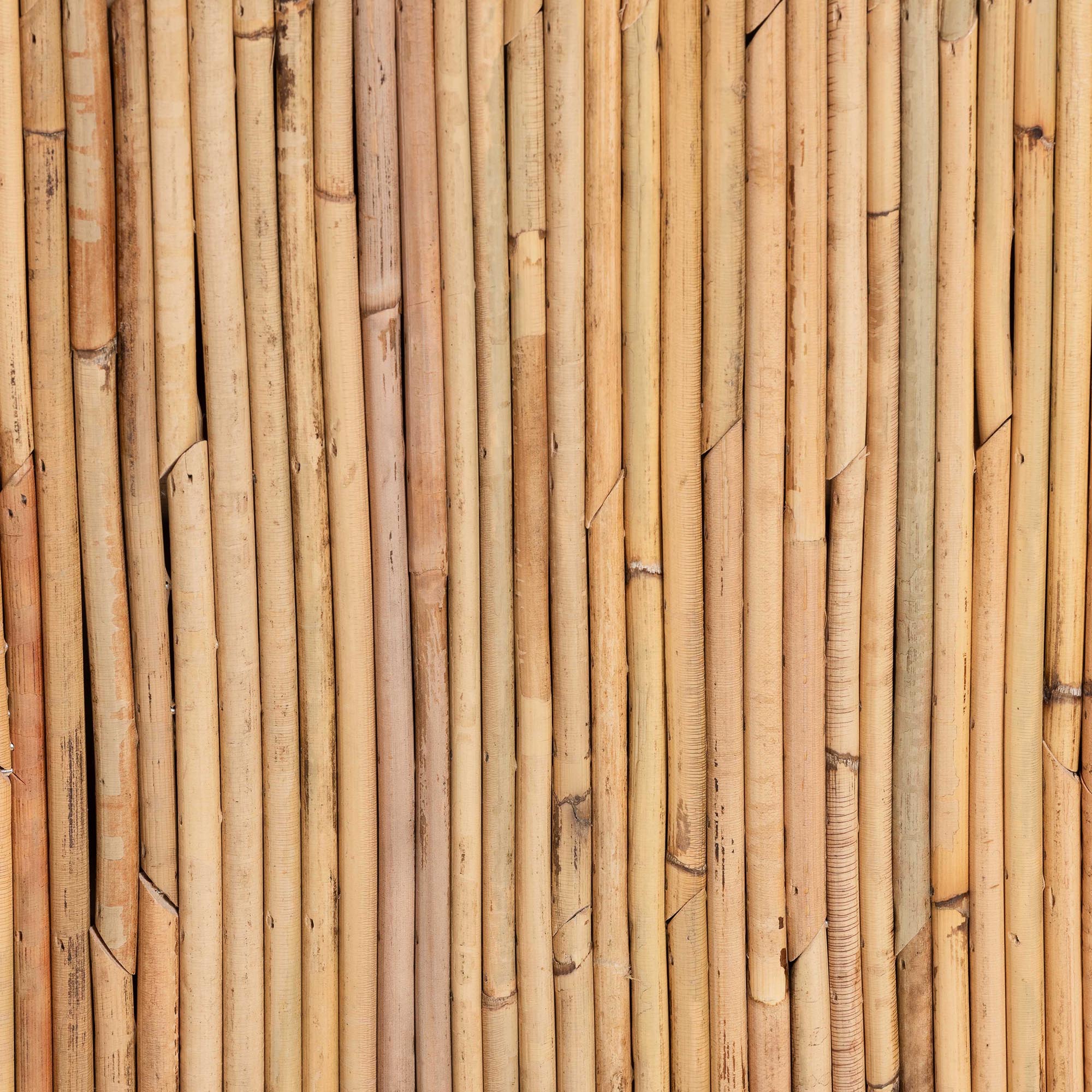 Rosina Bohemian Natural Rattan 1-Drawer Nightstand