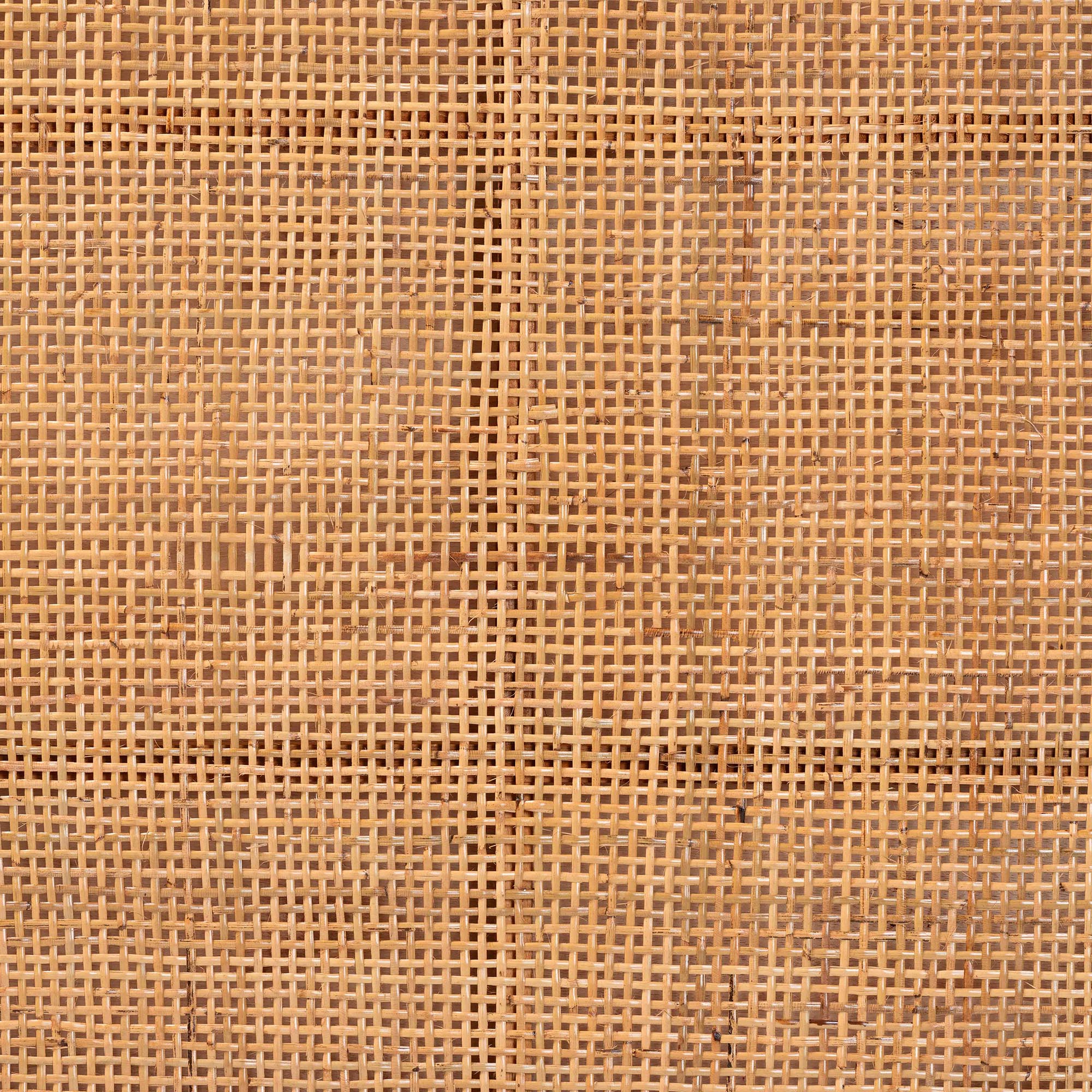 Lesia Bohemian Natural Rattan and Mahogany Wood Queen Size Headboard