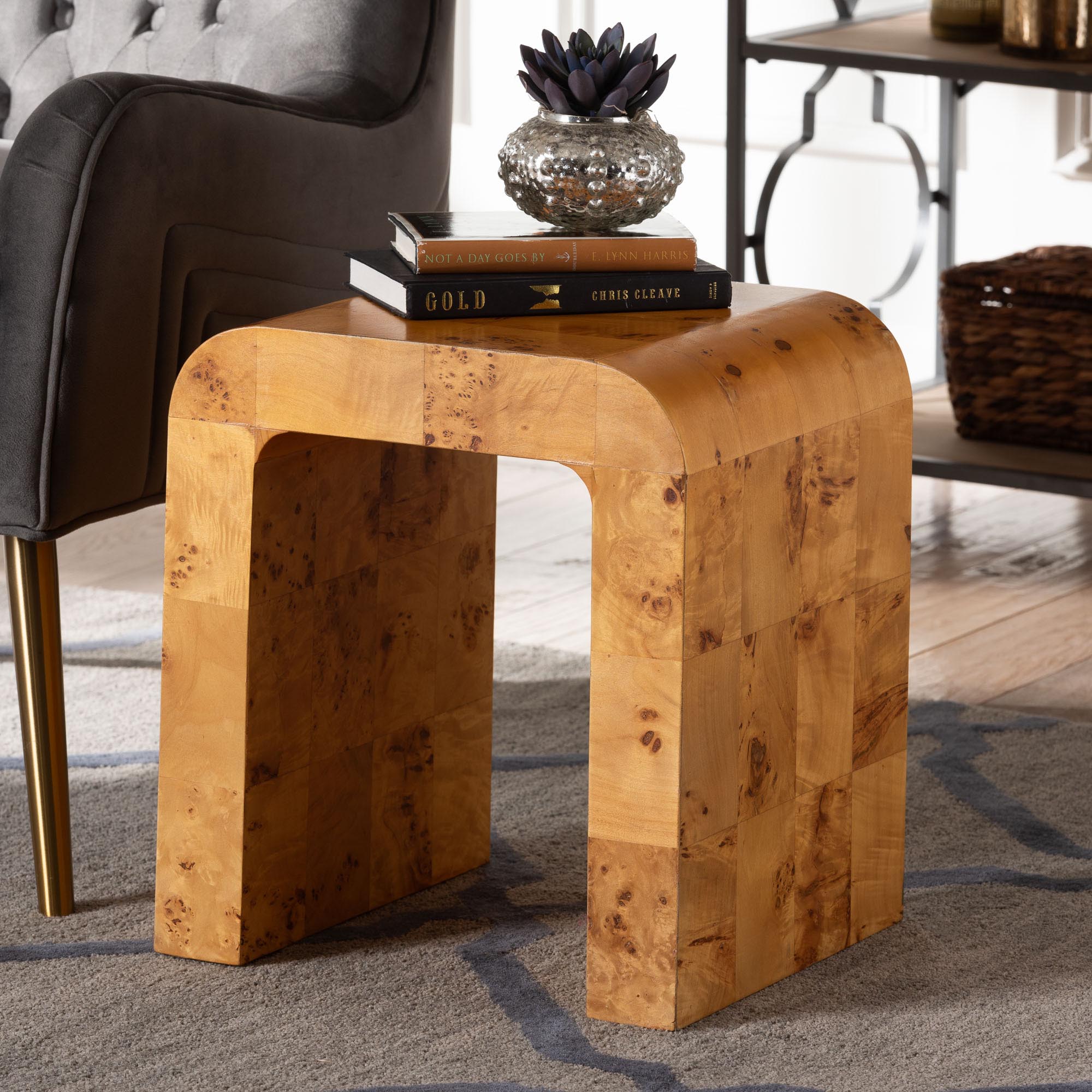Revelle Modern and Contemporary Natural Light Mappa Real Burl Wood End Table
