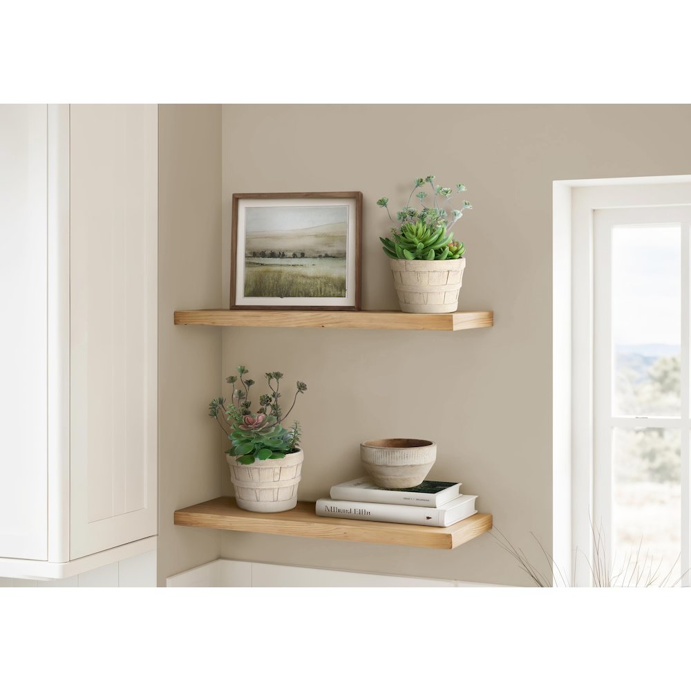 Septa - Artificial Plant Set Of 2 9" Tall Succulent Table Beige