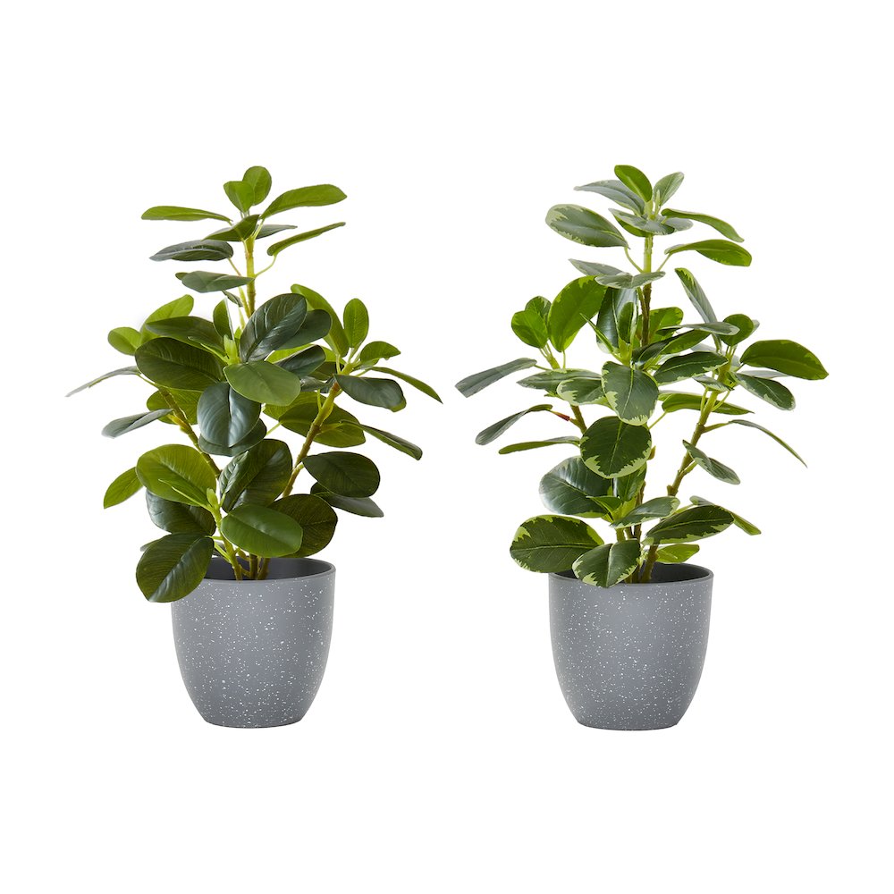 Ballari - Artificial Plant 14" Tall Ficus Indoor Faux Fake Table Greenery