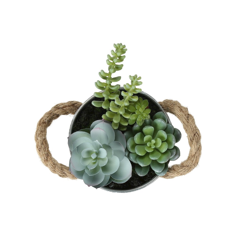 Lingga - Artificial Plant Set Of 2 7" Tall Succulent Table White