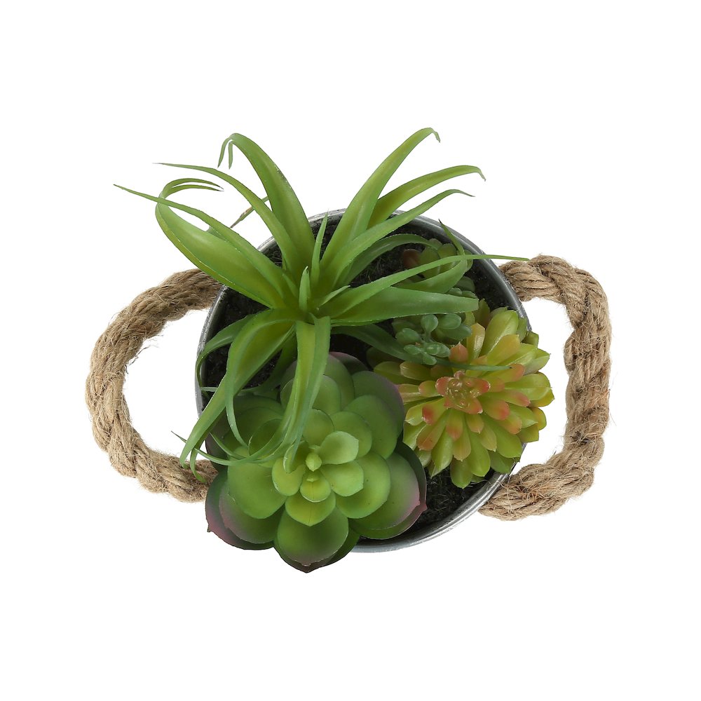 Lingga - Artificial Plant Set Of 2 7" Tall Succulent Table White