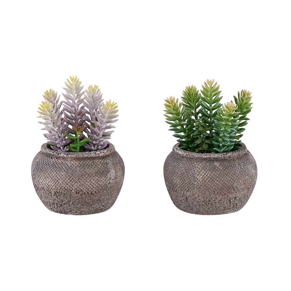 Miranda - Artificial Plant Set Of 2 8" Tall Succulent Table Brown