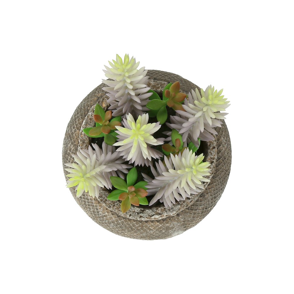 Miranda - Artificial Plant Set Of 2 8" Tall Succulent Table Brown