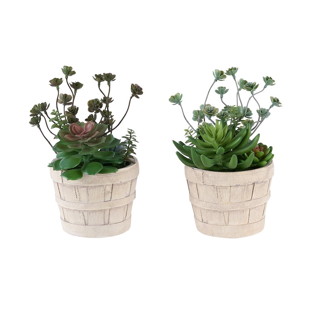 Septa - Artificial Plant Set Of 2 9" Tall Succulent Table Beige
