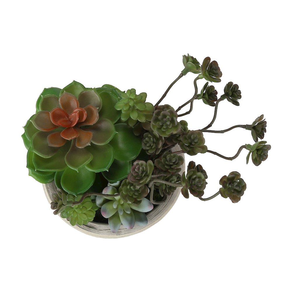 Septa - Artificial Plant Set Of 2 9" Tall Succulent Table Beige