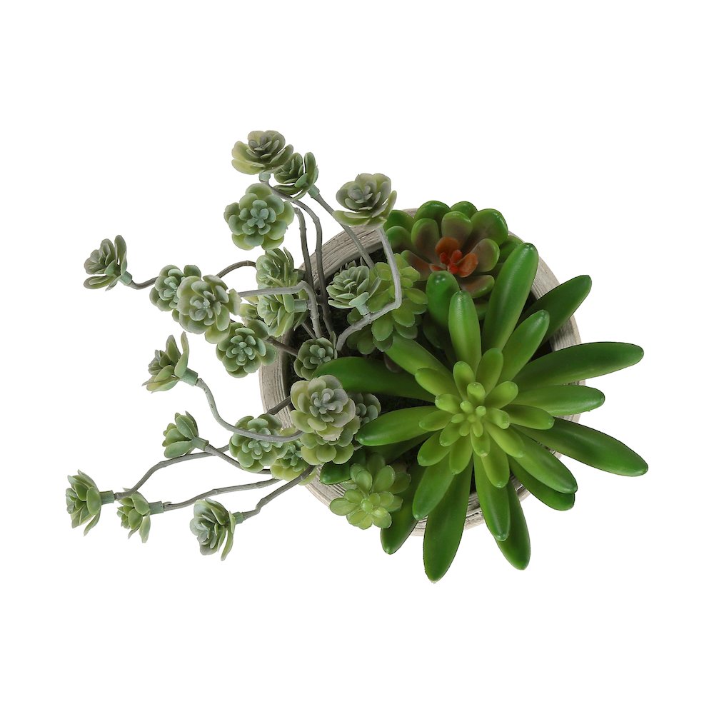 Septa - Artificial Plant Set Of 2 9" Tall Succulent Table Beige