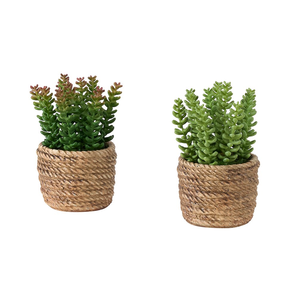 Sherwin - Artificial Plant Set Of 2 7" Tall Succulent Table Brown
