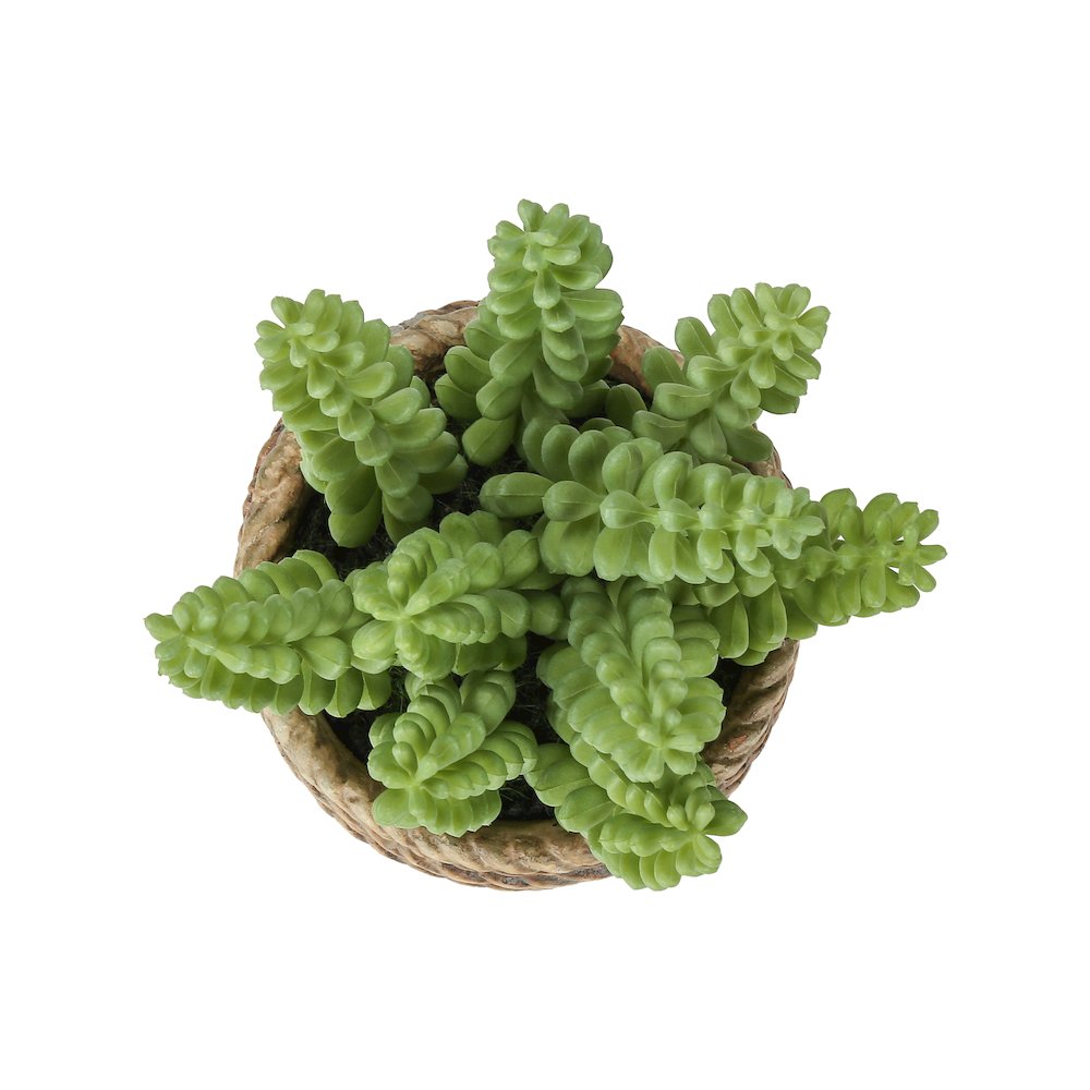 Sherwin - Artificial Plant Set Of 2 7" Tall Succulent Table Brown