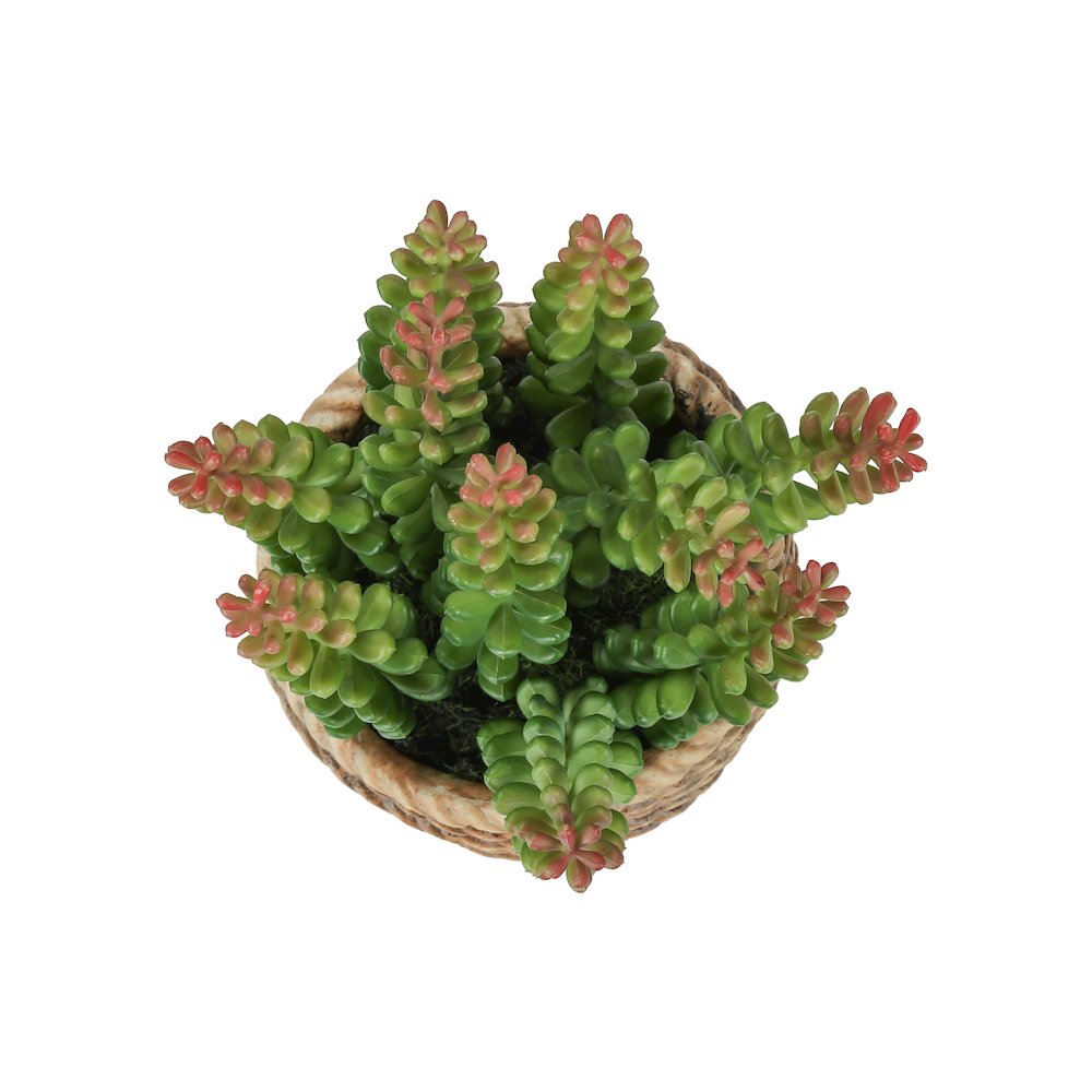 Sherwin - Artificial Plant Set Of 2 7" Tall Succulent Table Brown