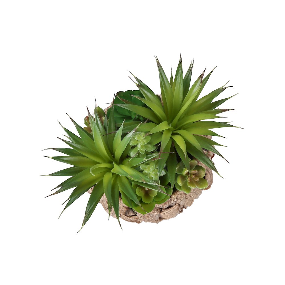 Chenoa - Artificial Plant Set Of 2 9" Tall Succulent Table Brown