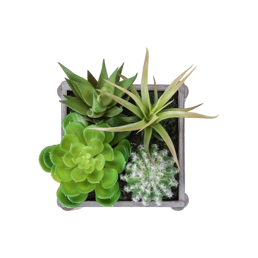 Orella - Artificial Plant Set Of 2 8" Tall Succulent Table Grey