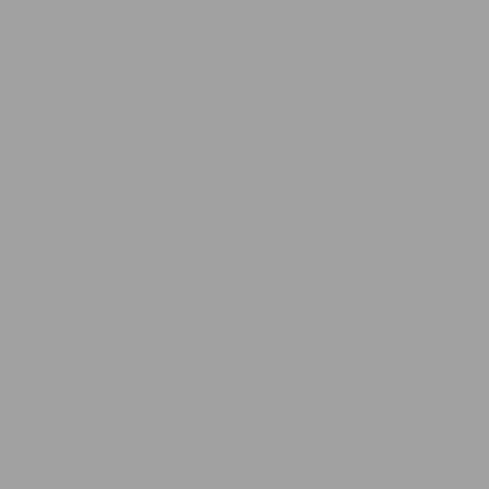 Stonebrook Queen Panel Bed - Light Distressed Antique Gray