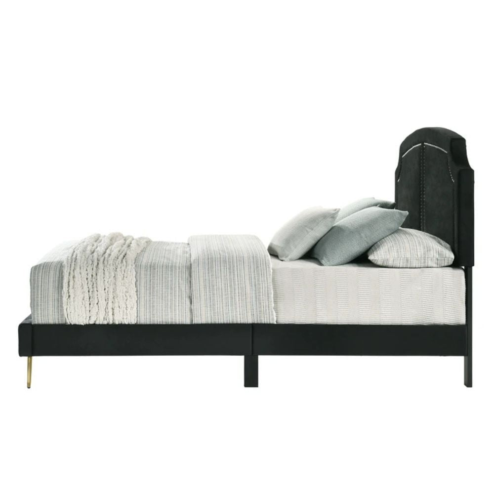 Hirst Zeena Eastern King Black Velvet Contemporary Bed – Upholstered Platform with Gold Accent Trim
