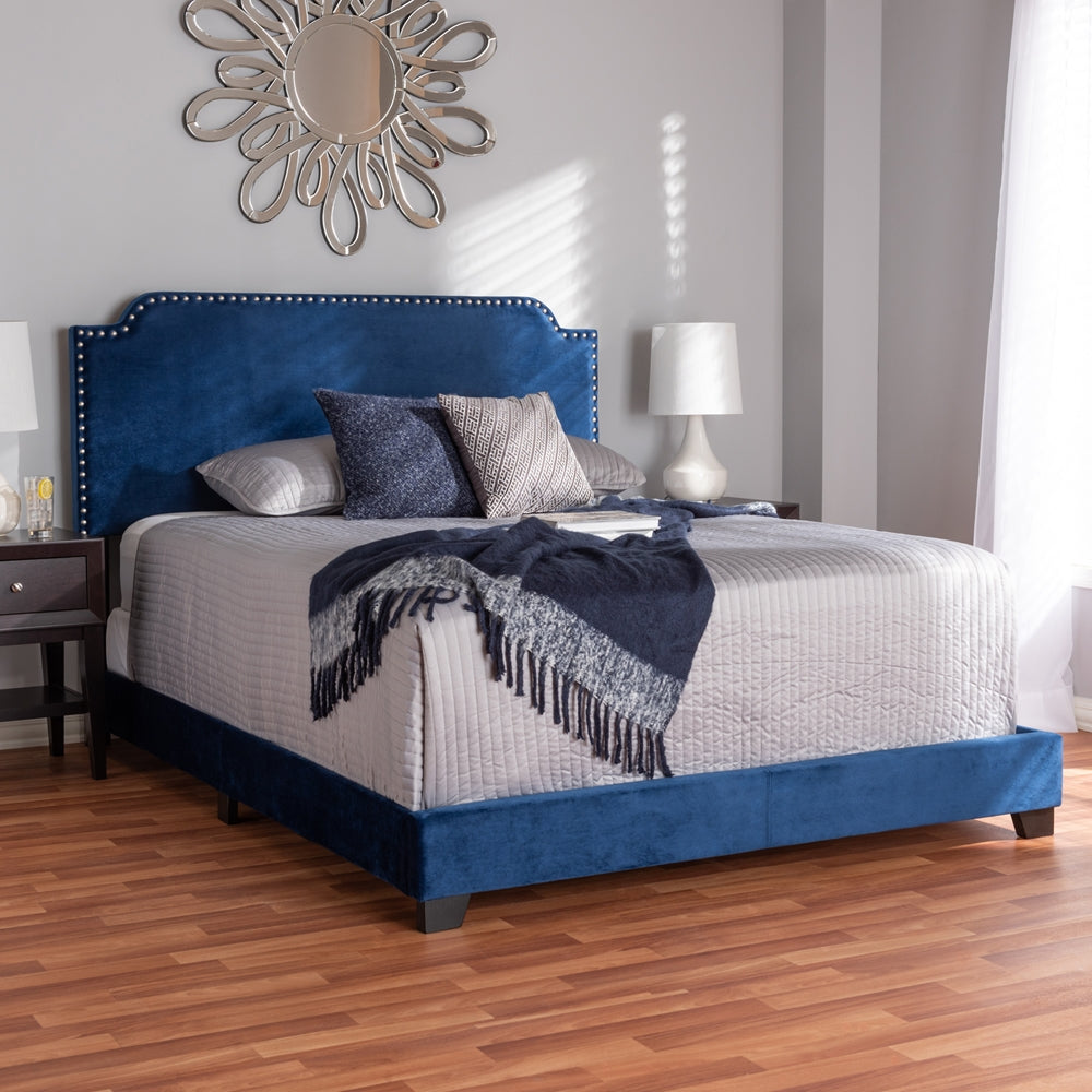 Darcy Luxe and Glamour Navy Velvet Upholstered Queen Size Bed