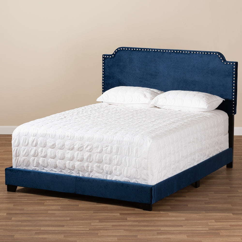 Darcy Luxe and Glamour Navy Velvet Upholstered Queen Size Bed